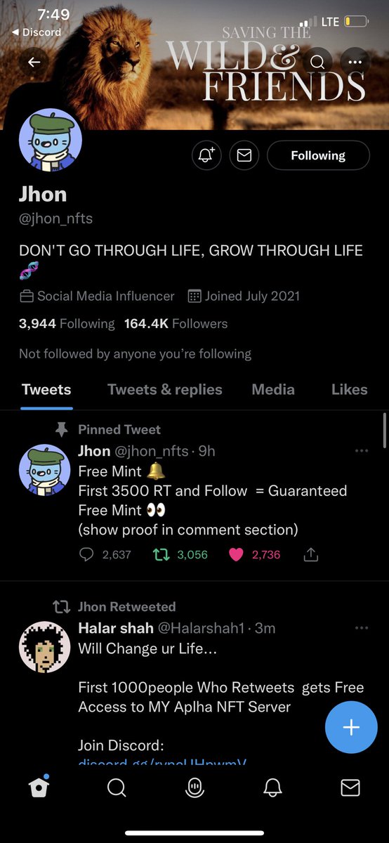 ivelidsa's tweet photo. @jhon_nfts Yesss!!🔥🔥 let’s gooooo https://t.co/p3NicTvJmA