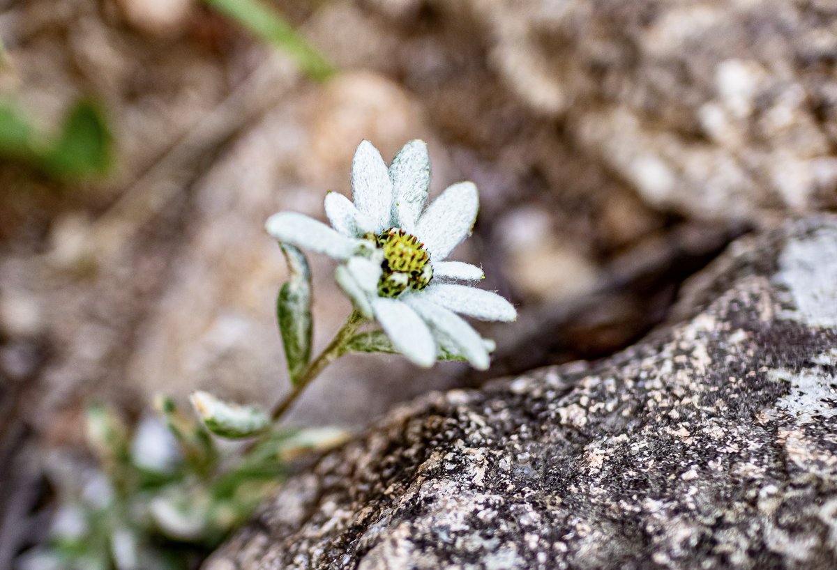 아침에 얻은 좋은 말씀..

 초   심

행복할때 약속하지마라. 
화났을때 답변하지 마라.  
슬플때 결심하지마라.

다른 사람에게 너 자신에 대해 설명하지마라.
너를 좋아하는 사람은 그것이 필요 없고
너를 싫어하는 사람은 그것을 믿지 않을테니..
이하 생략

명심 또 명심
