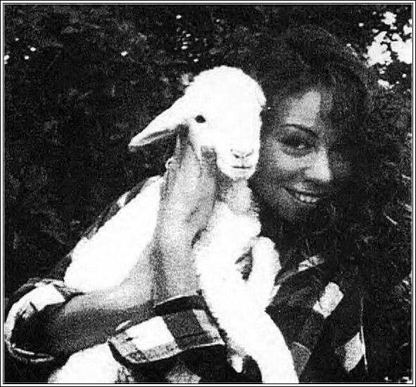 last-minute submissions to The Butterfly Book must be submitted by June 15th! get those submissions in now! please don't wait till it's too late. I truly want this to be a big opportunity for all lambs! docs.google.com/forms/d/e/1FAI…