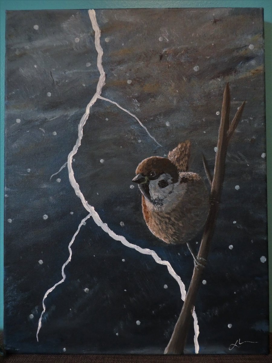 Tshaz7's tweet photo. New birb painting!

It's based on a different web novel I've been mildly obsessed with in the last few months. It's called 'Through my Eyes' and it's also on Tapas, give it a read! https://t.co/jV2yzmaqn5