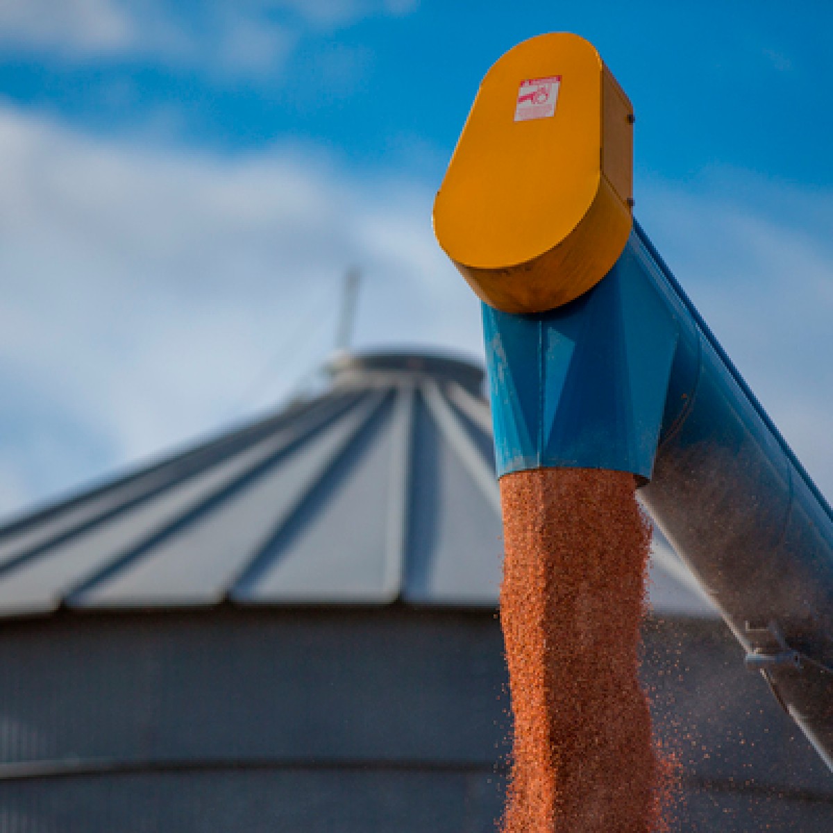 ABARES's tweet photo. Australia’s agricultural exports are set to hit a record $65 billion in 2022-23 as total production tops $80b for a second straight year.

Learn more here: https://t.co/vCqD75B5Si. https://t.co/LCMUpdaBZ7