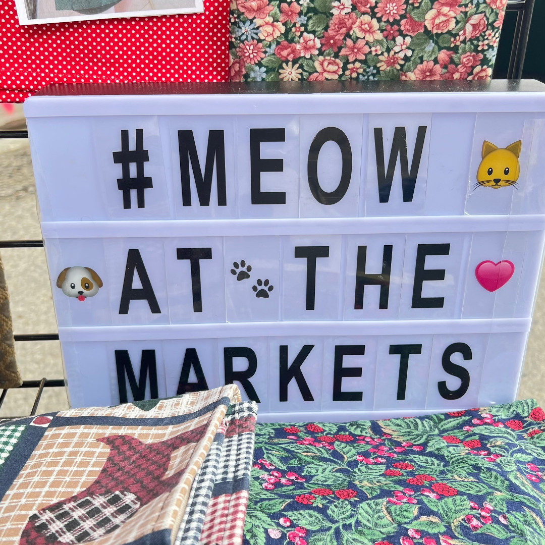 MEOWFoundation's tweet photo. We had such a fun day at @lilacfest yesterday! Huge thanks to the organizer and to everyone who came out - and to the weather for holding off on the rain until the very end of the day ☔ Visit https://t.co/yPXVOjoB5w to see where you can find us next!
#yyc #yycevents #catsofyyc https://t.co/LIp6xkQdQJ