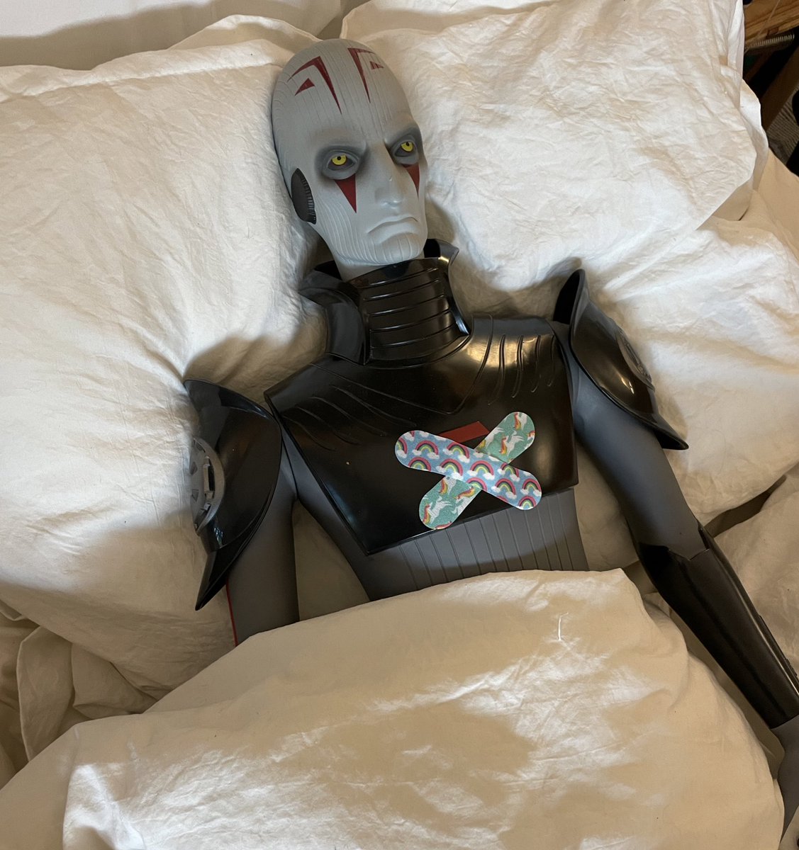 ardokranch's tweet photo. he’s fine, he’s just resting up a bit!!! https://t.co/gkVGJYxmhx