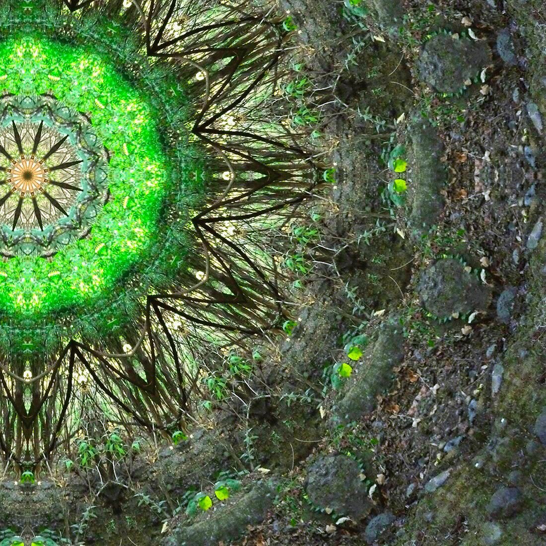 Cryptoportals_'s tweet photo. #033 Camino

https://t.co/nJb0Qgp49e

#nft #nftart #nftartist #cryptoportals #artenft #nftlife #opensea #openseanft #nftcollector #nftcommunity #nftmexico #gicleeprint #giclee https://t.co/6ou0m0thQR