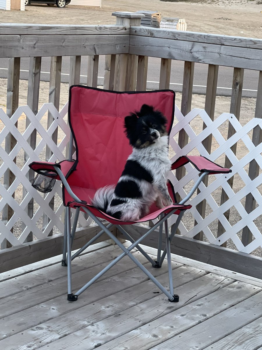 T Burden tweet media