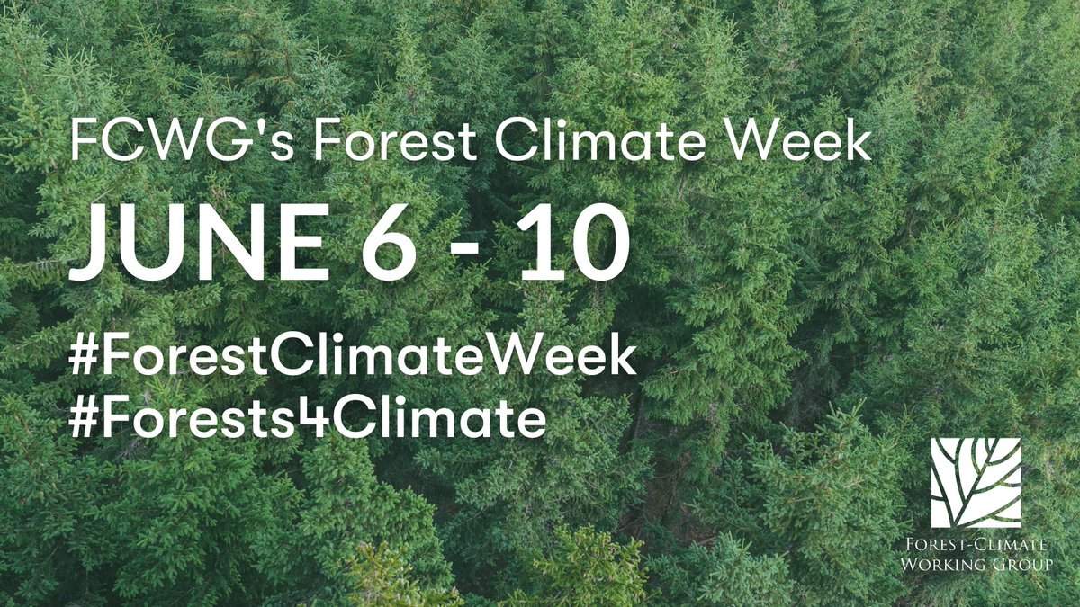 Enviva's tweet photo. Enviva is proud to support the @ForestClimateWG and the inaugural #ForestClimateWeek. We continue to advocate for policymakers to consider forest products, such as sustainable biomass, and forest management, as tools to help mitigate the effects of climate change. #Forest4Climate https://t.co/RTQeSPE2jt
