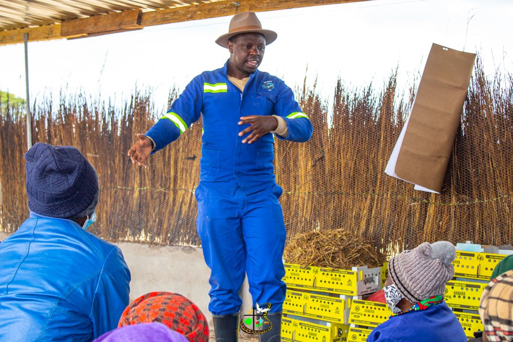 HOCICZW's tweet photo. Fish🐟farming ensures food security by producing some low-value freshwater species which stimulate domestic production through integrated farming.
Today at Makhokhomba village, @NkosanaMazibisa took garden members through an intense fish farming skills workshop. https://t.co/drBHVKcdhL