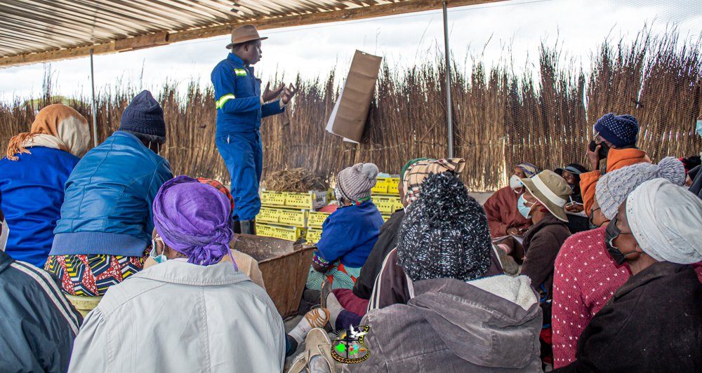 HOCICZW's tweet photo. Fish🐟farming ensures food security by producing some low-value freshwater species which stimulate domestic production through integrated farming.
Today at Makhokhomba village, @NkosanaMazibisa took garden members through an intense fish farming skills workshop. https://t.co/drBHVKcdhL