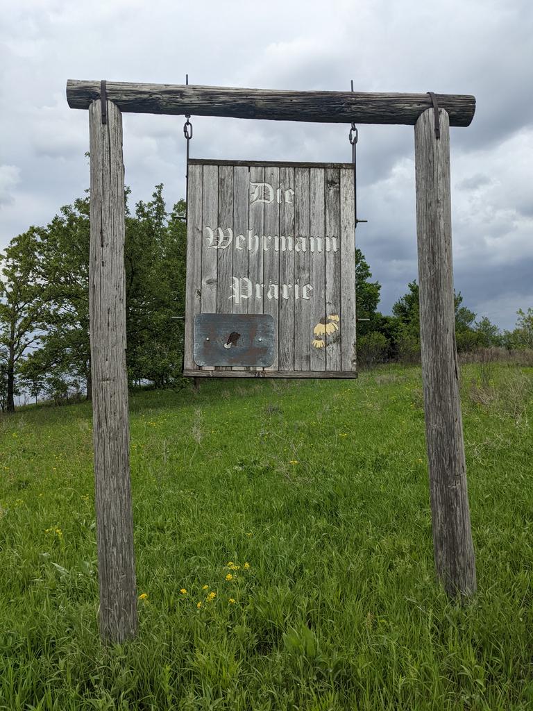 The smallest unplowed prairie remnant?  One acre is still looking great!