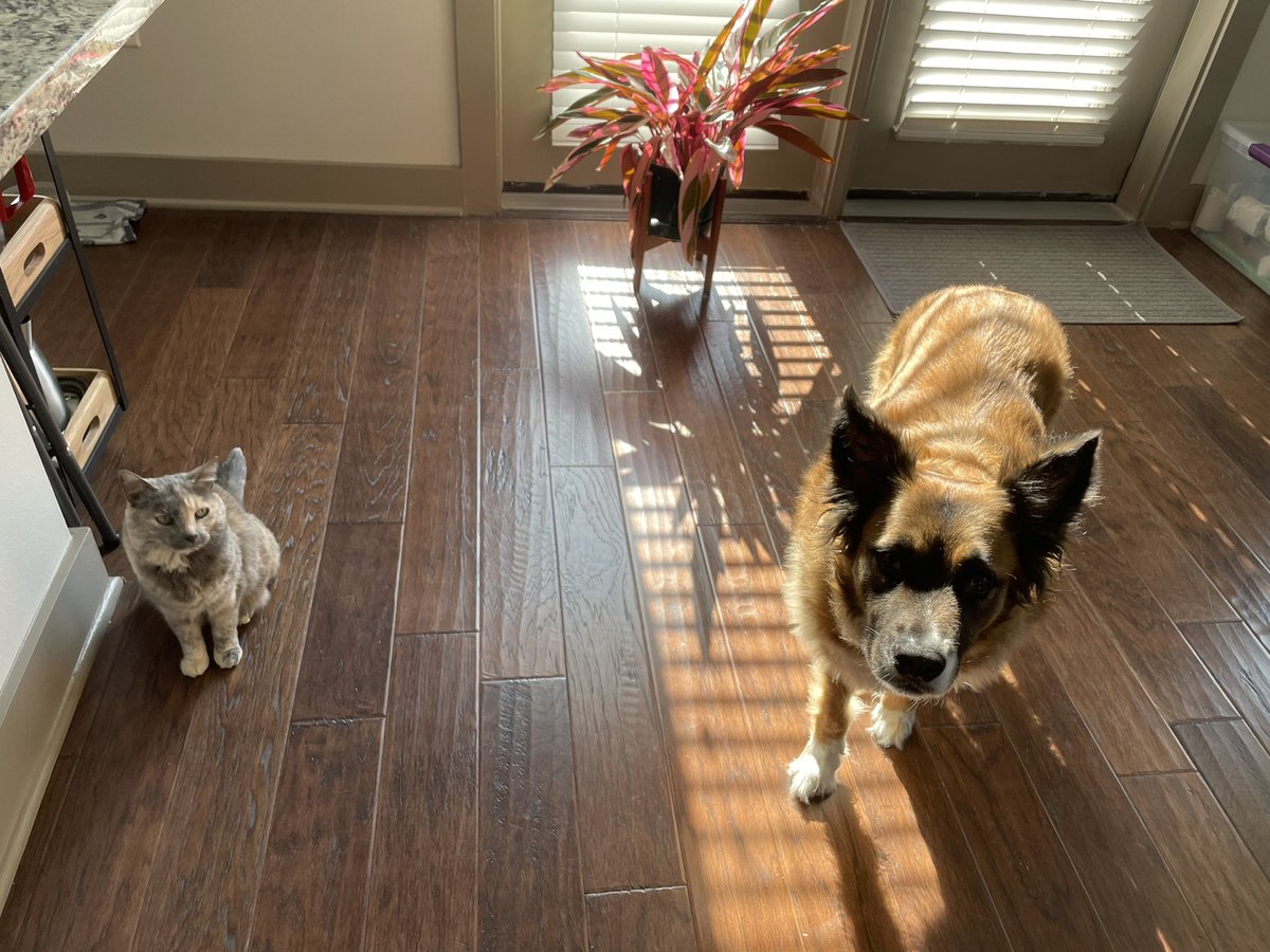 My little coworkers 🥰