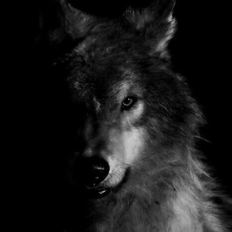 ㅤㅤㅤ         ،  ┈ 𝐀𝐛𝐨𝐮𝐭 𝐦𝐞 ┈