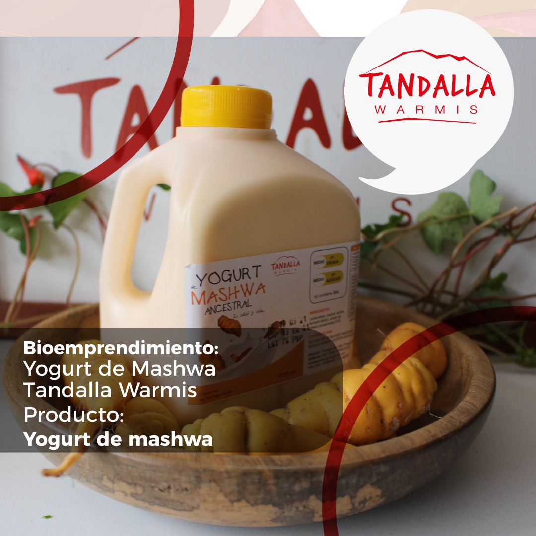 ciespal's tweet photo. En el marco del trabajo que realiza @PPDEcuador - @greencrowds y en el que apoya #CIESPAL y @CODESPA, los invitamos a conocer más sobre @TandallaWarmi y su producto: yogurt de mashwa ancestral 
📌07 junio
⌚18h00
 @EcuadorTV 
Programa #MiPropioJefe

Contacto📲 099 712 8042 https://t.co/Epvy6tFAJP
