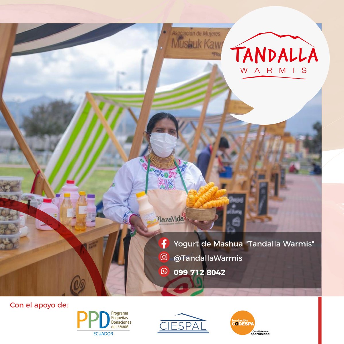 ciespal's tweet photo. En el marco del trabajo que realiza @PPDEcuador - @greencrowds y en el que apoya #CIESPAL y @CODESPA, los invitamos a conocer más sobre @TandallaWarmi y su producto: yogurt de mashwa ancestral 
📌07 junio
⌚18h00
 @EcuadorTV 
Programa #MiPropioJefe

Contacto📲 099 712 8042 https://t.co/Epvy6tFAJP