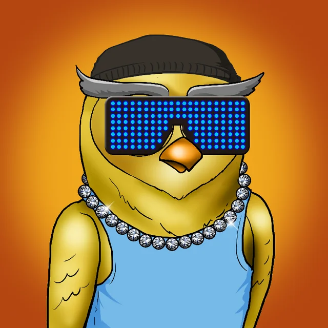 Imorta Jake tweet media