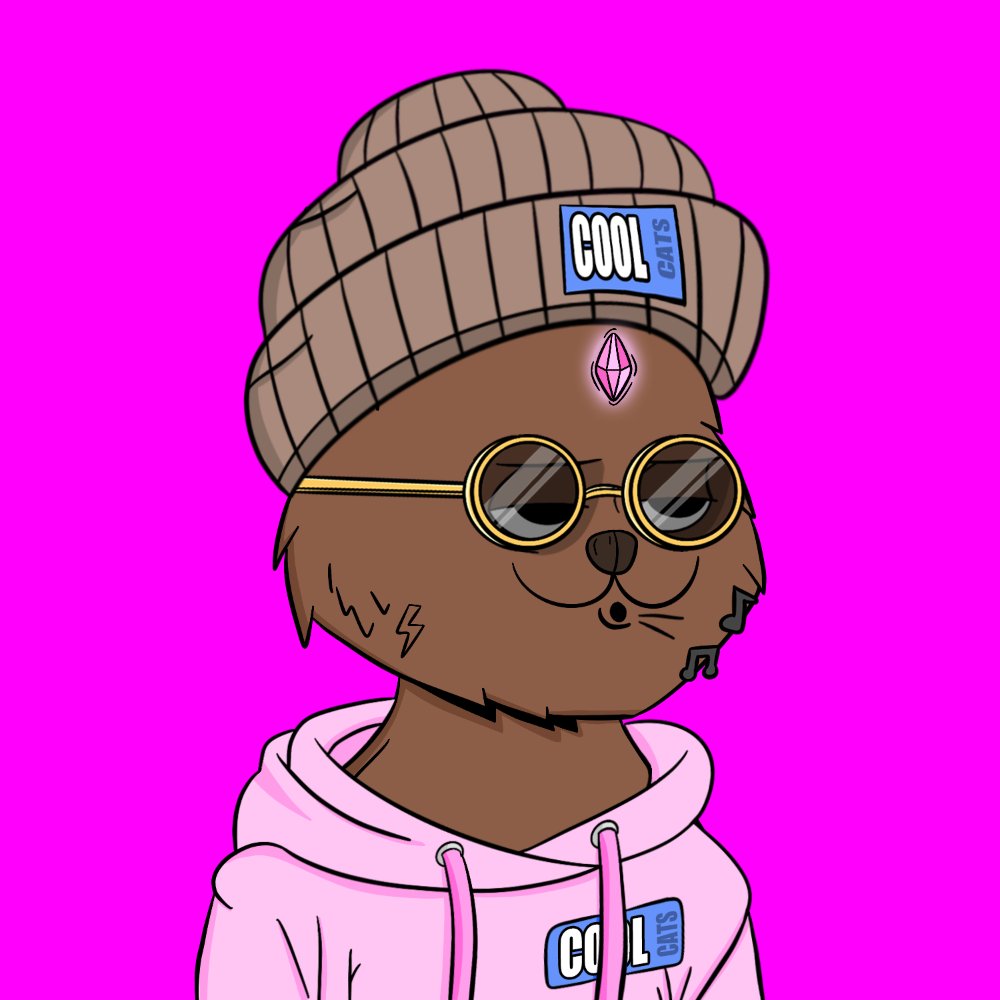 Cool Cats Society tweet media