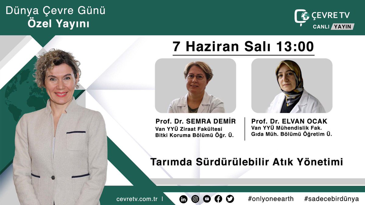 elvanocak (@elvanocak1) on Twitter photo 