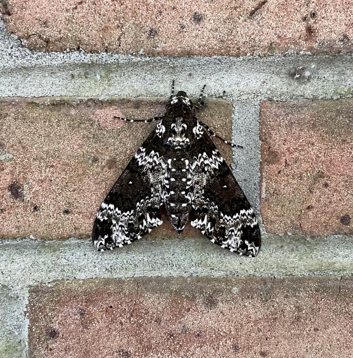 Dr. Rose Wayne tweet media