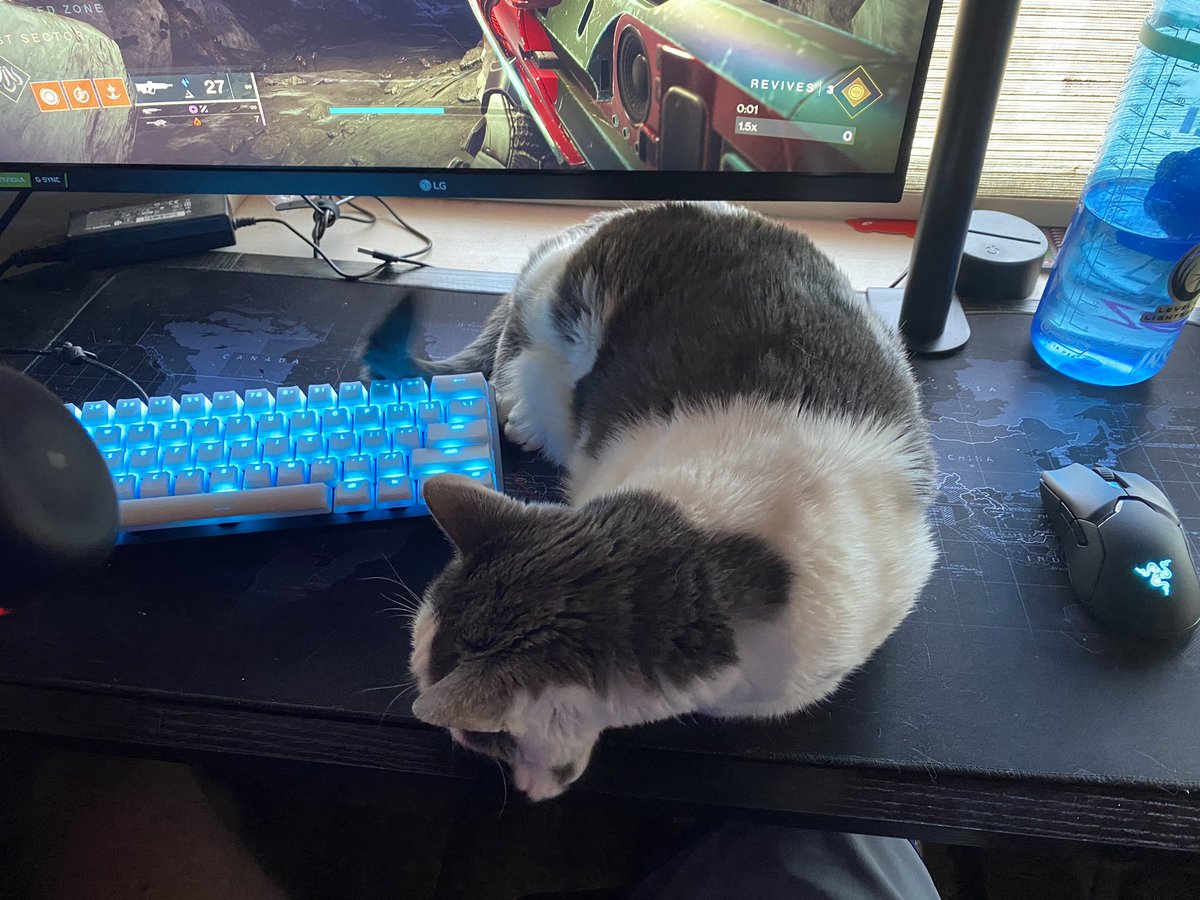 The best destiny grinding buddy