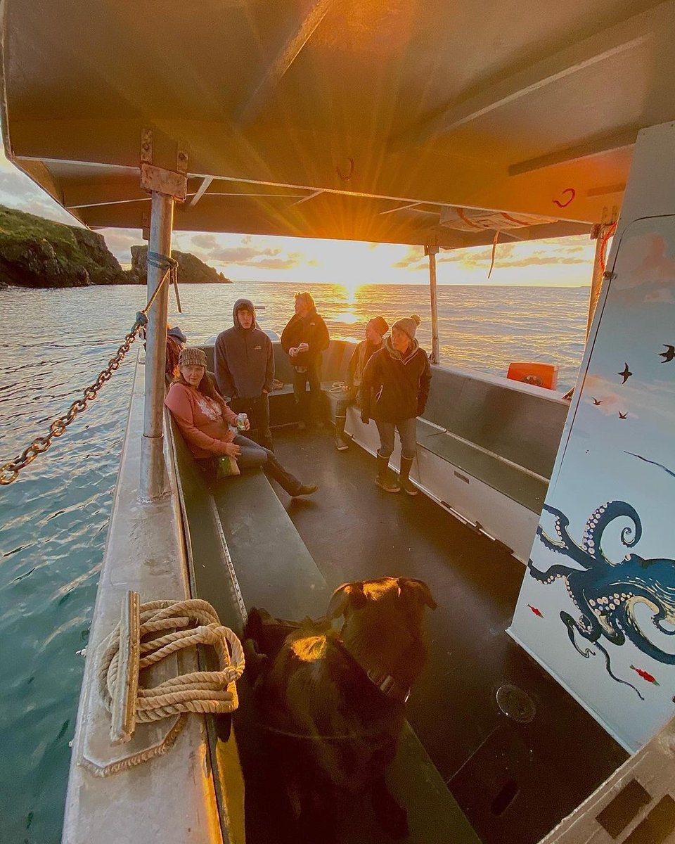 VisitHomer's tweet photo. Good vibes happen on the tides. ☀️  🌊 

📸 : @seabird_ventures https://t.co/GjffDGbh4e
