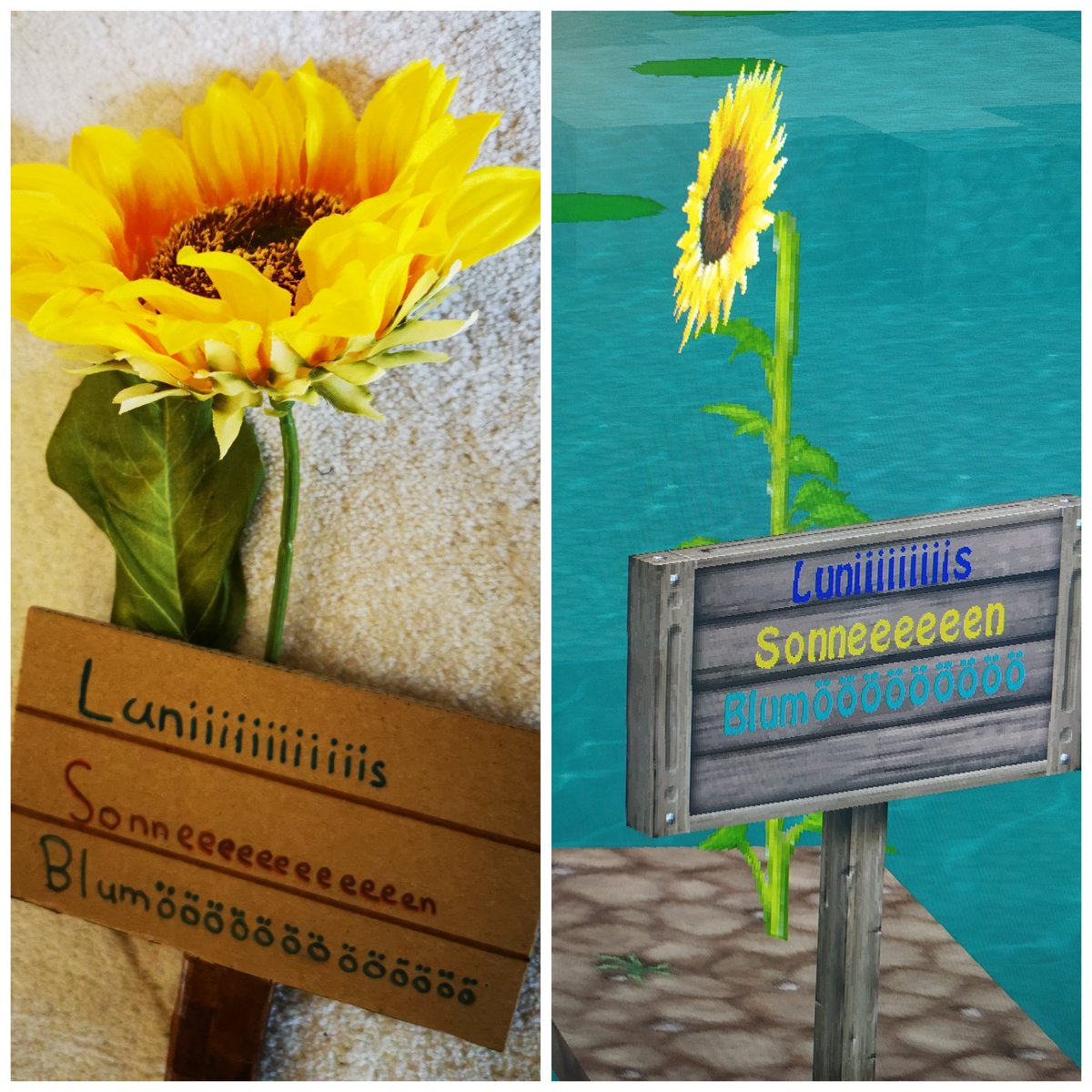 Es ist echt schön zu sehen, wie meine Sonnenblume in rl aussieht * - *
Danke <a href="/diggory_da/">𝓛𝓸𝓾𝓲𝓼𝓪𝓝𝓓𝓲𝓰𝓰𝓸𝓻𝔂</a> <3