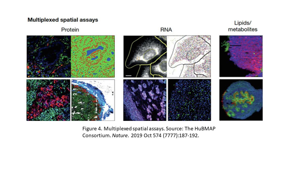 NIH_CommonFund's tweet photo. Want to unwrap the riddle inside the enigma that is #proteomics? Then come check out this perspective from @molcellprot about the new tools, methods, and #datasets used to make tissue maps!
https://t.co/9RabVenIfV  @proteinatlas @_hubmap https://t.co/bQ43tBE8eE