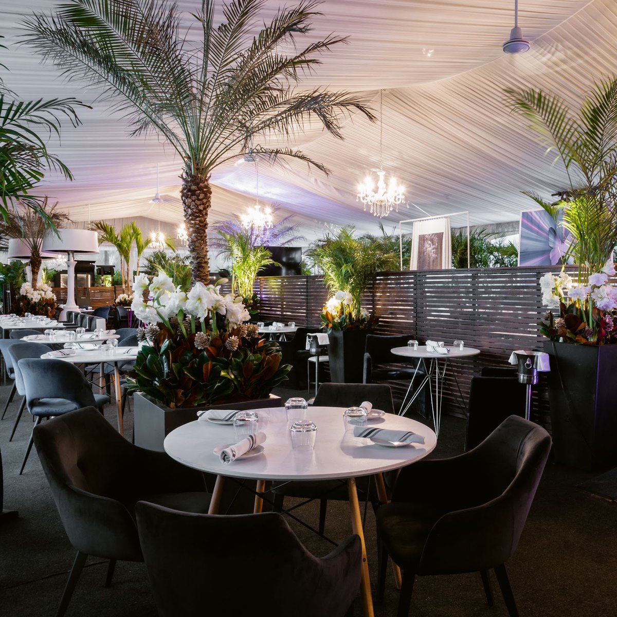 HarbourSixty's tweet photo. Join us on our patio and enjoy our signature fine dining experience unlike any other. ✨

Our extensive, fully-enclosed patio features 8 TVs, a full bar, and an inviting atmosphere unlike any other.

To make a reservation, visit https://t.co/P0kD1hXq25 https://t.co/bU6HABp0mw