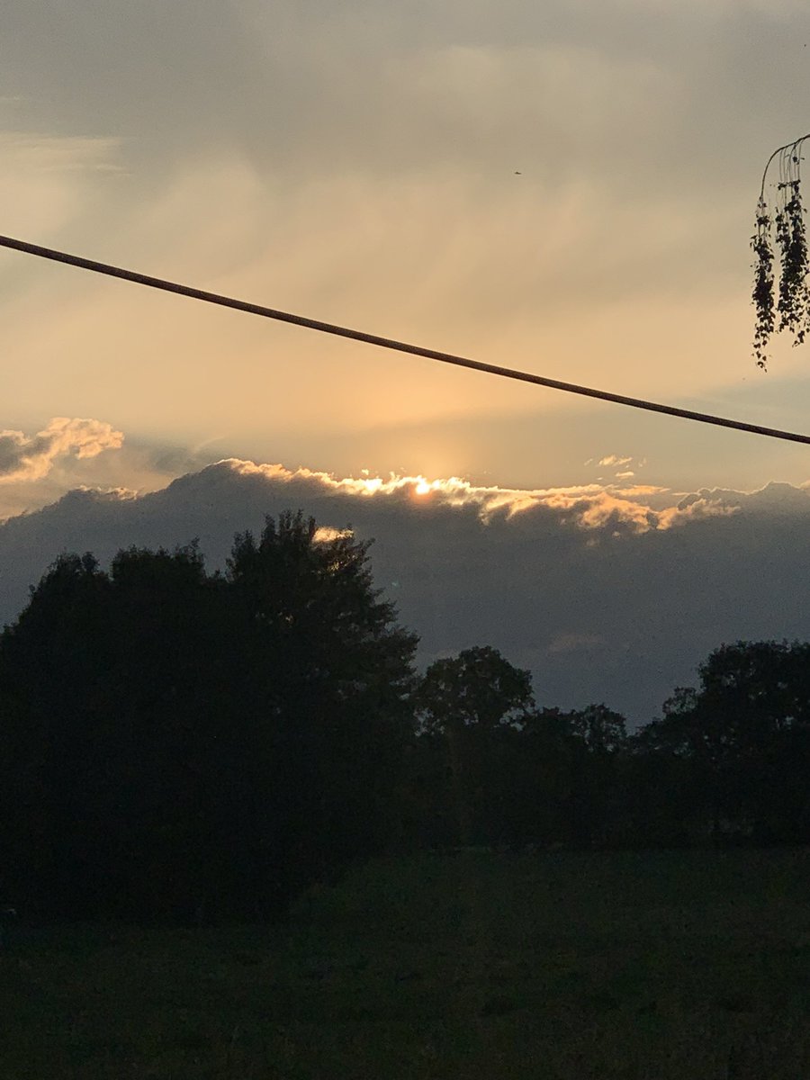 Mina777's tweet photo. Ich glaube ich ziehe doch aufs Land…. 🥰 #landleben #natur #kühe #sonne https://t.co/S8JitjfSPq