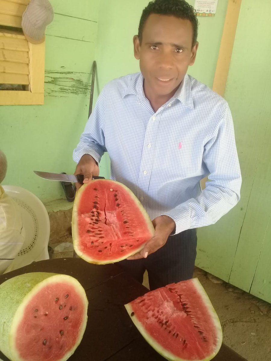 Cuando en un país  hay producción le va bien a la nación, sigamos trabajando para que no falte alimentación al pueblo dominicano, sandía de Los Pinos del Edén provincia independencia