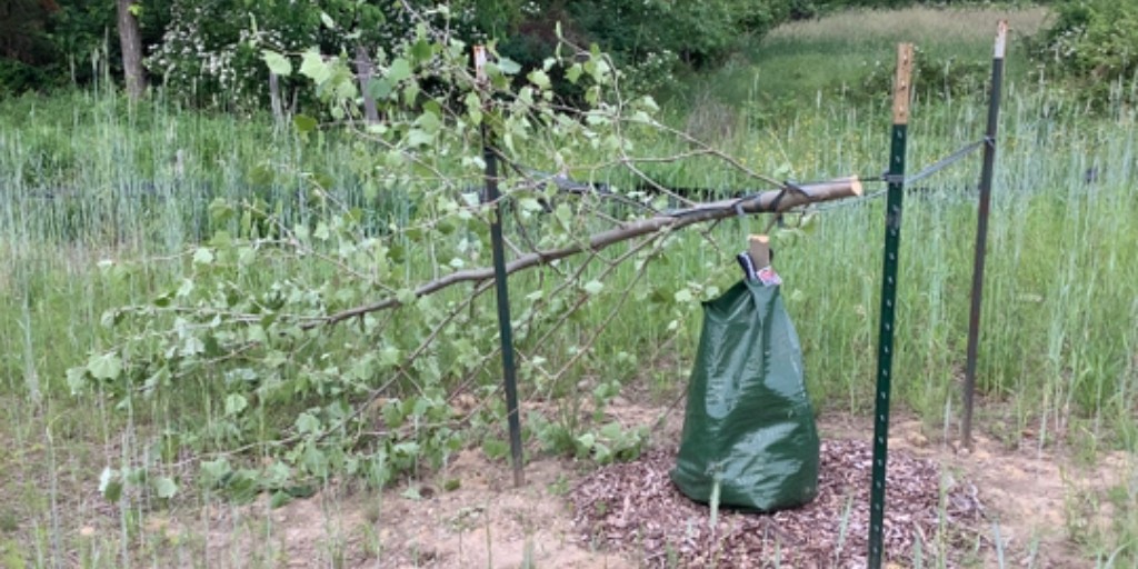 metro_parks's tweet photo. Yesterday, we discovered 21 of the newly planted trees at the Middlebury and Arlington trailheads were vandalized and cut down. Anyone with information that may be related to the vandalism should contact the Ranger Department at 330-475-0029. https://t.co/jq2D50gYK1