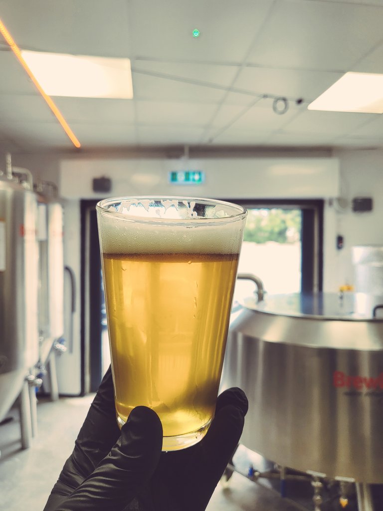 More time needed but this pilsner is shaping up nicely. #fresh #local #beer