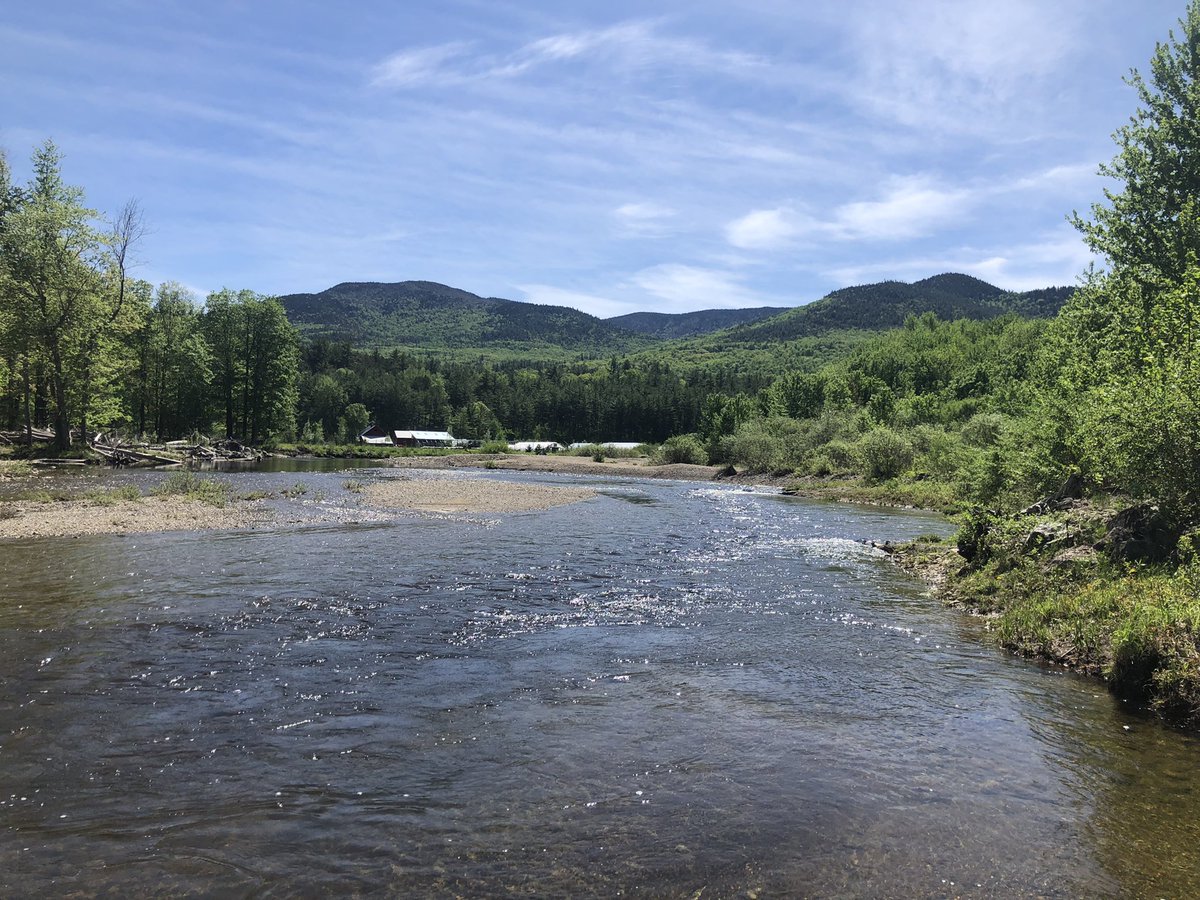 <a href="/NYSAPA/">NYSAPA</a> Revised June Agency Meeting Agenda Issued.  Forest of Heroes Arboretum ceremony postponed. Please see apa.ny.gov/Press/pressrel…