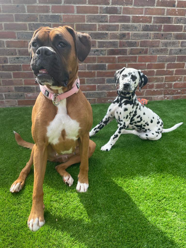 Mike Miller tweet media