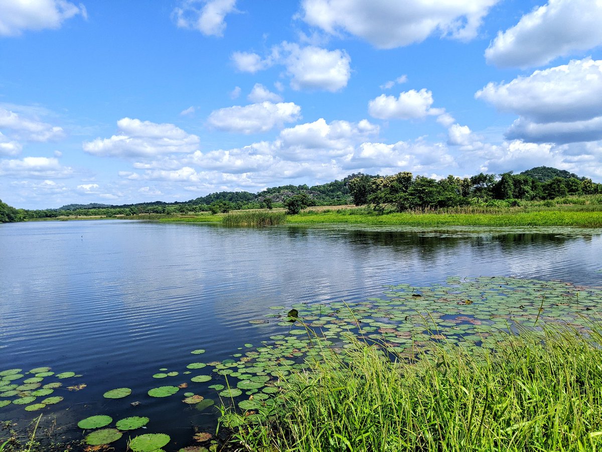hyperzik_'s tweet image. Let's celebrate and also explore local. This is a natural lake in Oyo, Nigeria. On the flip side, you might think it's in some Scandinavian country, but it's right here in our domot, wasting away. #Nigeria #TakeBackNaija #Travel #tourism