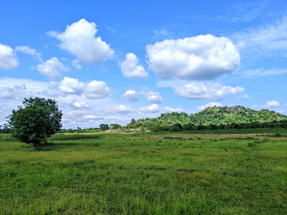 hyperzik_'s tweet image. Let's celebrate and also explore local. This is a natural lake in Oyo, Nigeria. On the flip side, you might think it's in some Scandinavian country, but it's right here in our domot, wasting away. #Nigeria #TakeBackNaija #Travel #tourism