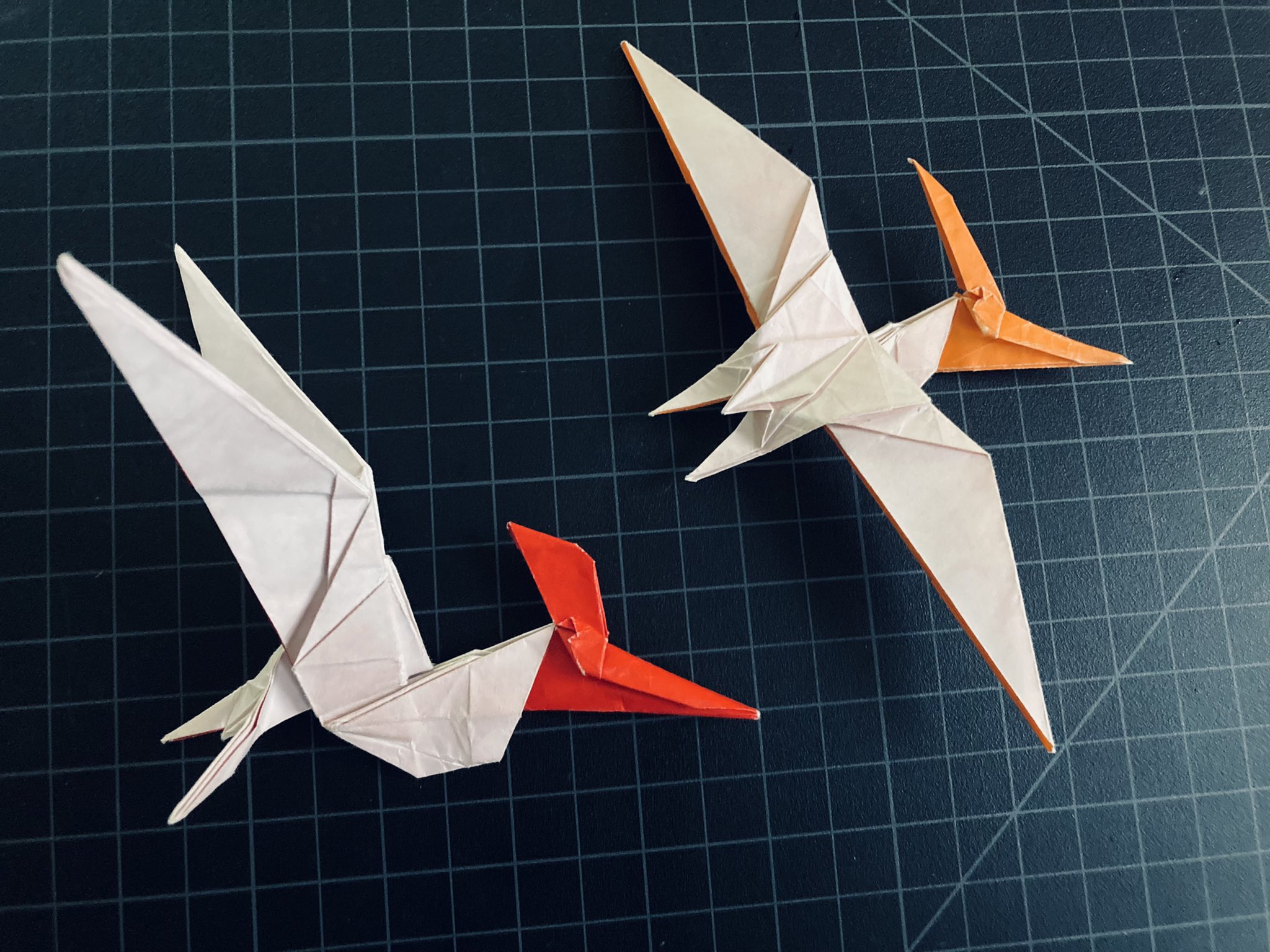 Origami Earth Life 顕生代の折り紙 Improved Pteranodon Design Just A Bird Base And Strip Graft Started Toying With It 4 Years Ago While Camped In Hell Creek For A Field Methods Origami Earth Life 顕生代の折り紙 Improved Pteranodon Design Just A Bird Base And Strip Graft Started Toying With It 4 Years Ago While Camped In Hell Creek For A Field Methods