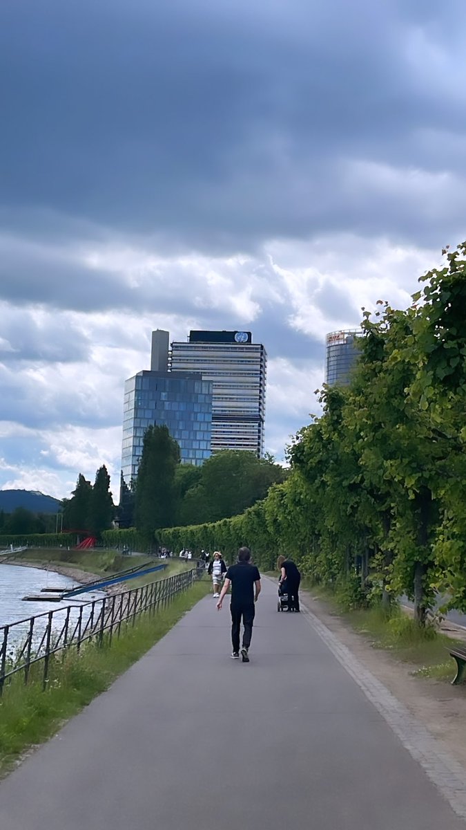 rafamoser's tweet photo. @UNCDFLoCAL is at the #UNClimateChangeConference #SB56 in @UNBonn to discuss the LoCAL mechanism as a potential #nonmarketapproach under the #ParisAgreement to advance #locallyledadaptation in the worldโs most climate vulnerable countries. #ambition #ClimateAction @Soph_DeConinck https://t.co/UJfGRBe4tO