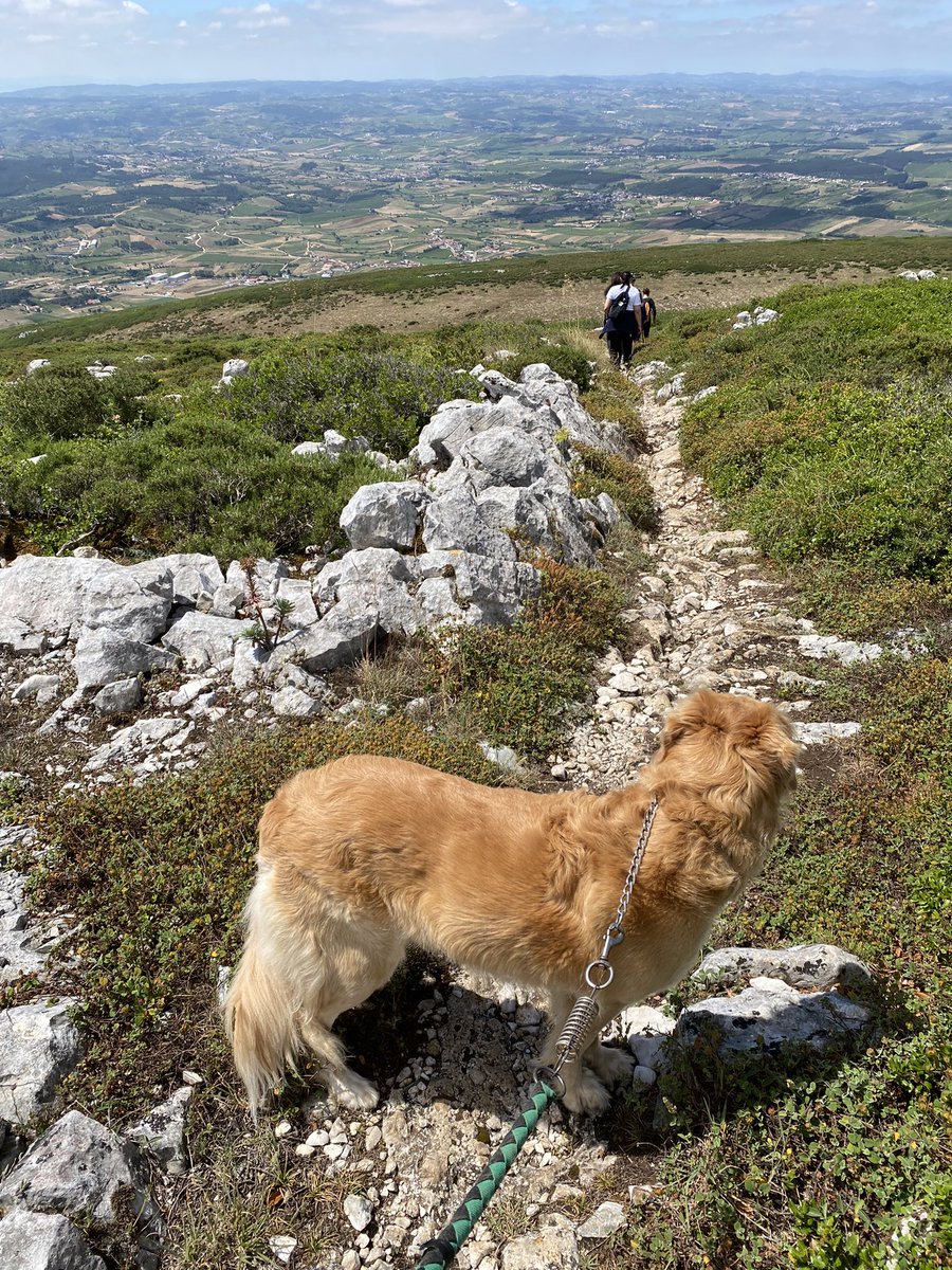sclouro's tweet photo. Peakers at their best!!! 🇵🇹
Complicated challenge for us, of more than 13km by mountain with a positive and negative slope of 704m but successfully carried out! 🔝😀👌
We should be very proud of ourself!!!
@PPeakers 
@MyPeakChallenge 
@PeakerPets https://t.co/HVkX106tth