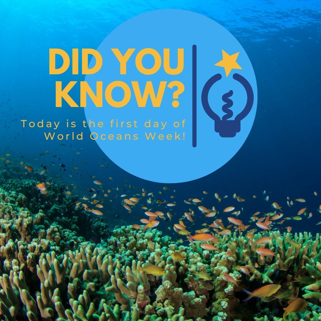 Science_Works's tweet image. It's World Oceans Week, and we're celebrating with a takeover from our aquatically-minded Science Advisory Board members. @belikethesea says: "Corals have calcium based skeletons just like us and need the right water chemistry to thrive." Register now for chemistry summer camp!