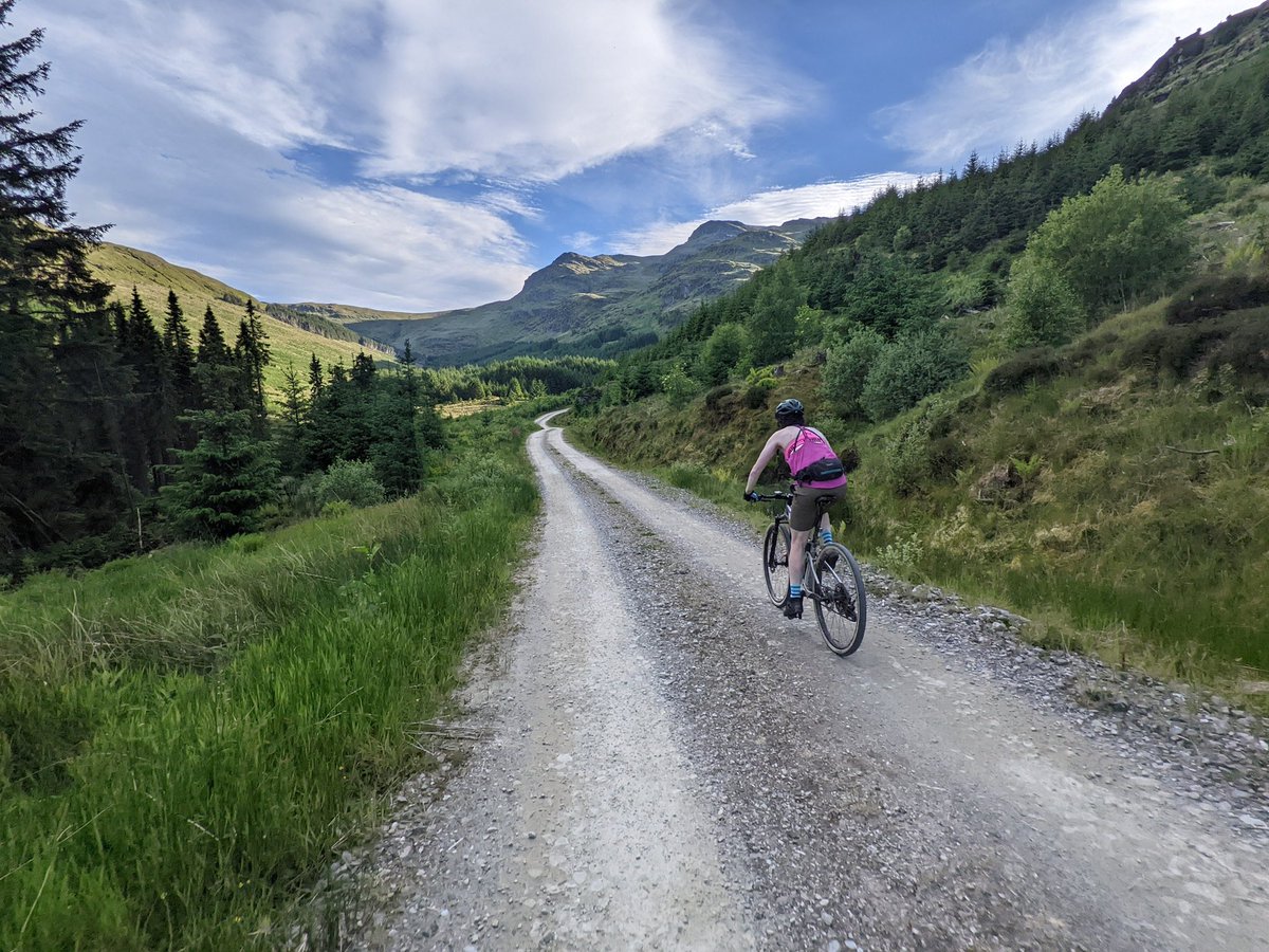 Kerry MacPhee tweet media