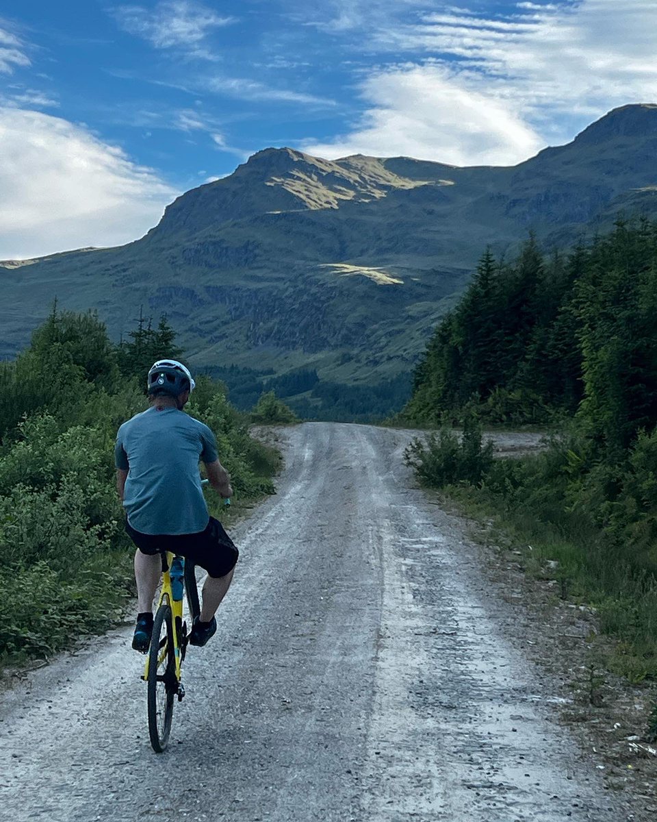 Kerry MacPhee tweet media