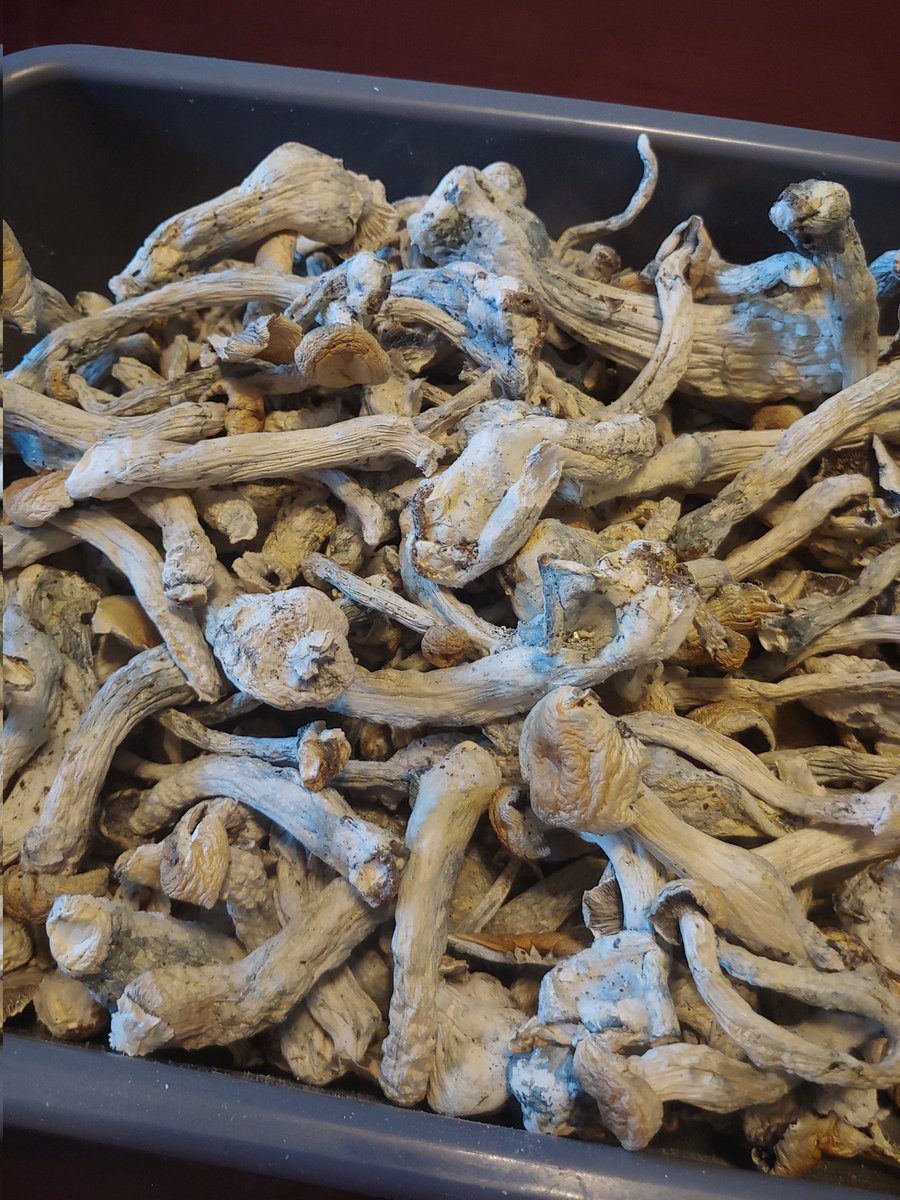Yerba_life's tweet photo. We keep it real around here #organic  #shroom https://t.co/19L0wB4iVB