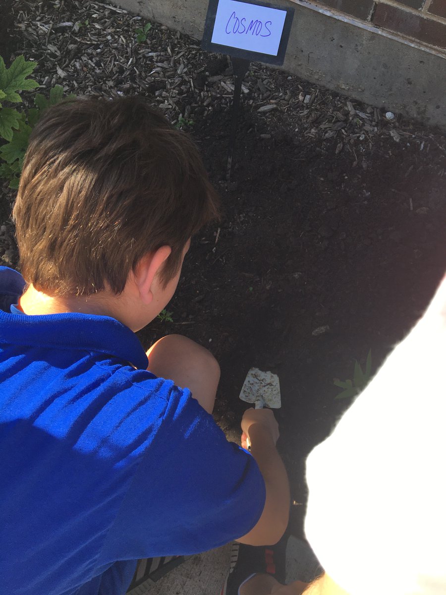 SraForde's tweet photo. My Spanish classes planted two butterfly gardens!  Hoping the monarchs will visit this summer and on their way to Mexico in the fall.  Thanks to @journeynorthorg
for the chance to participate in the symbolic migration project. @HawkWolf39 https://t.co/P4gTrvWgMV