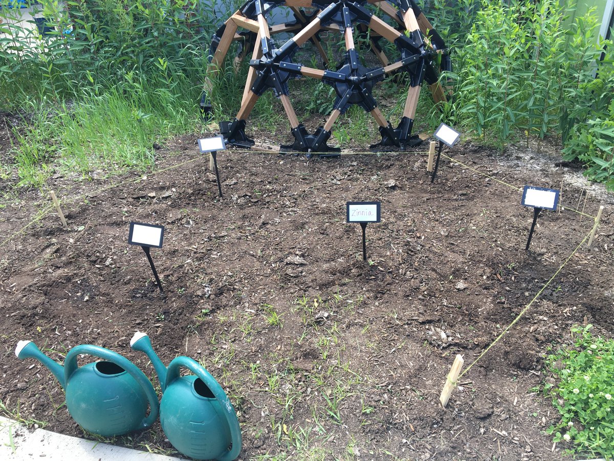SraForde's tweet photo. My Spanish classes planted two butterfly gardens!  Hoping the monarchs will visit this summer and on their way to Mexico in the fall.  Thanks to @journeynorthorg
for the chance to participate in the symbolic migration project. @HawkWolf39 https://t.co/P4gTrvWgMV