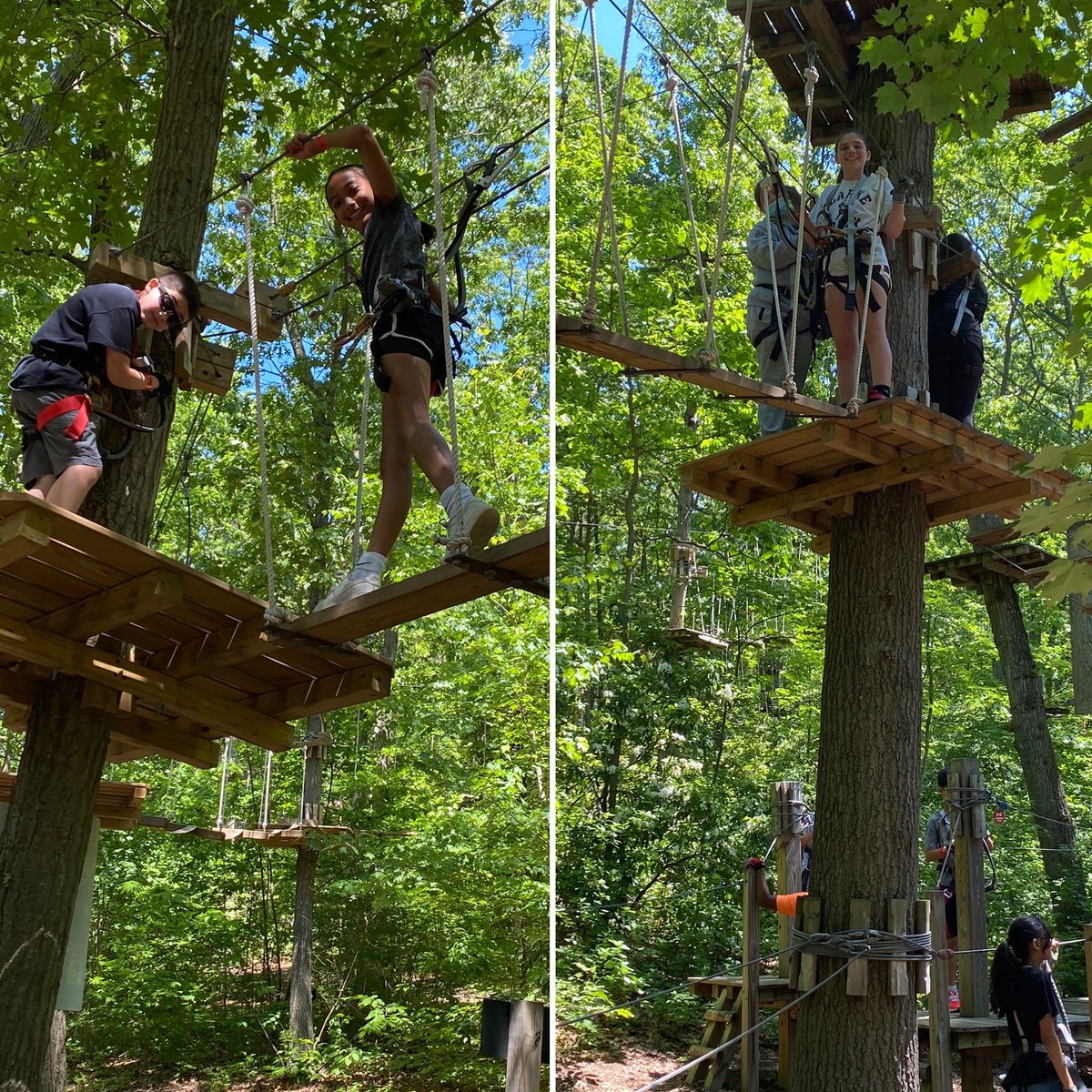 Maria Santodonato tweet media