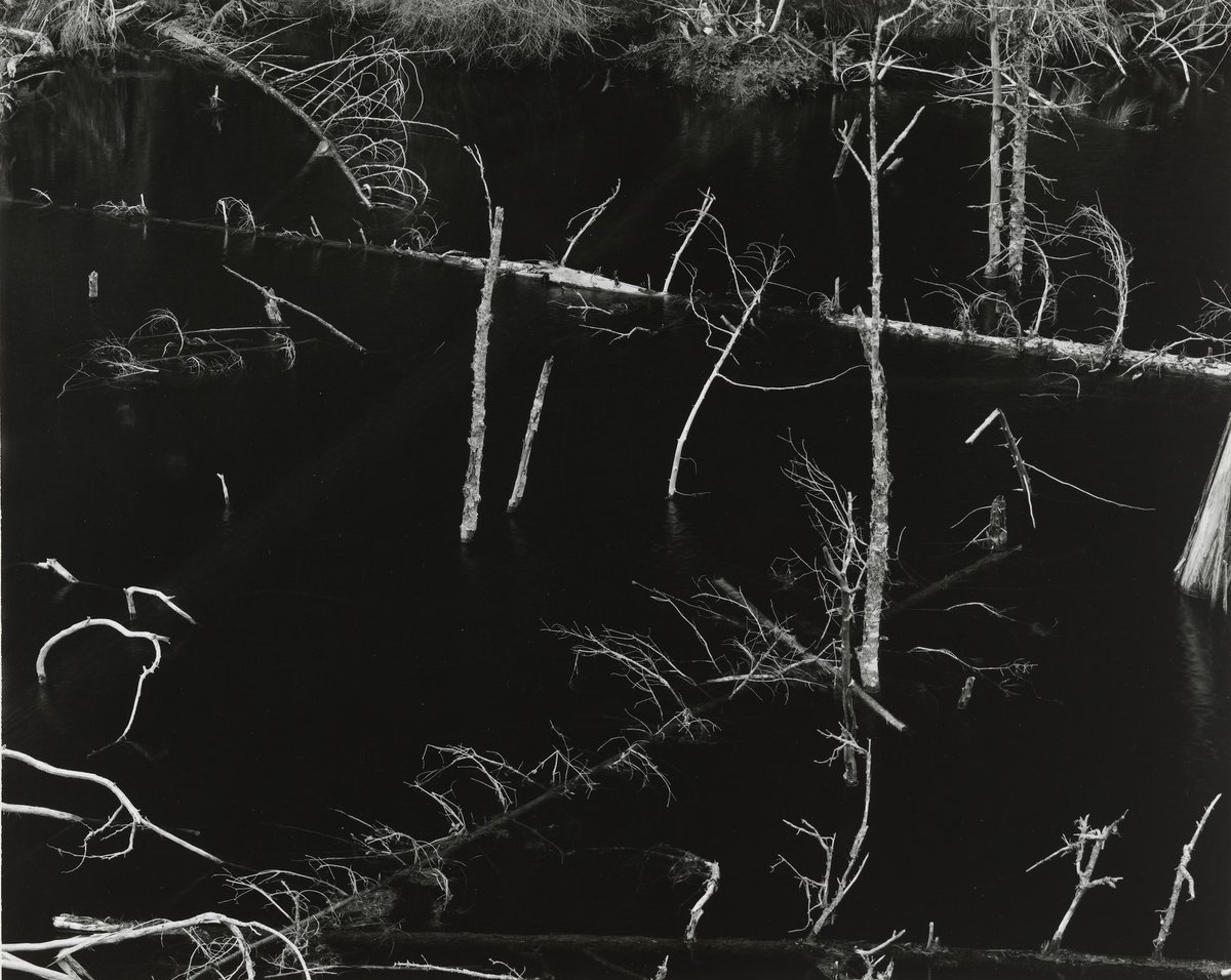moma_photos's tweet photo. Michael A. Smith, Near Blue River, British Columbia, 1975 #museumarchive #michaelasmith https://t.co/7Ai3dqHohN https://t.co/6iKqTvPSmp
