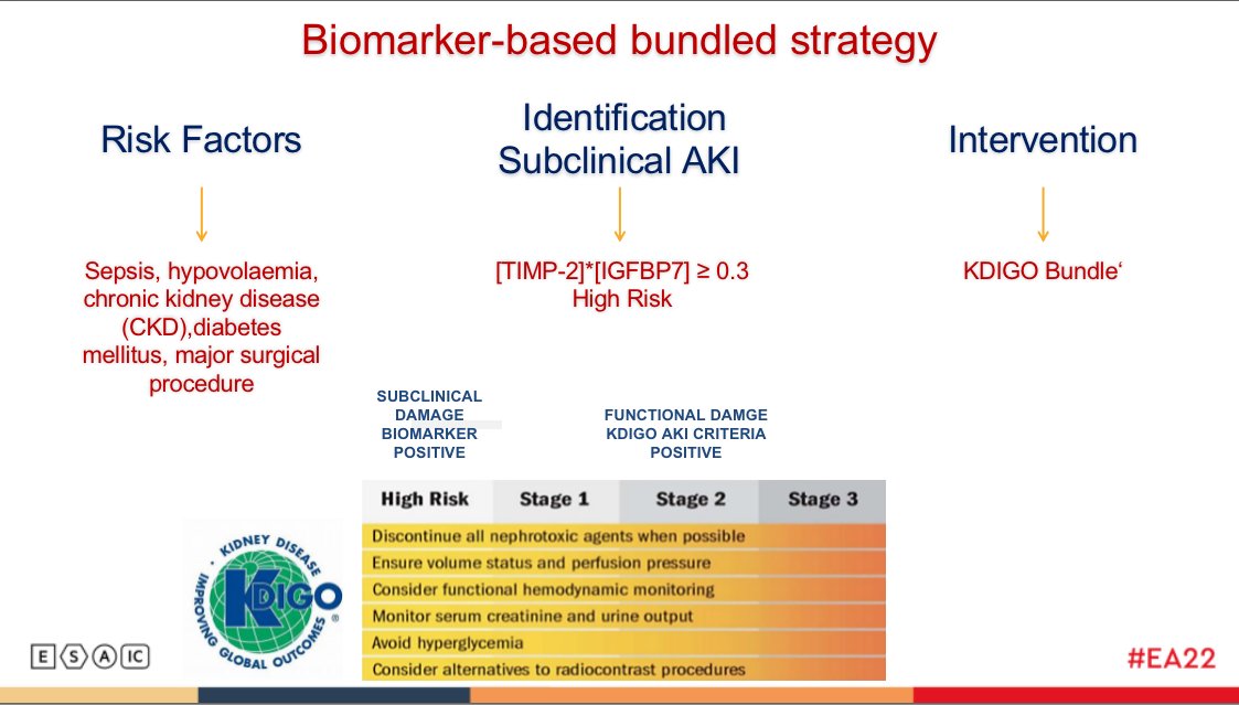 SilviaDeRosa11's tweet photo. Session: The #impact of #acutekidneyinjury (#AKI) on #criticallyill patient #outcome
Talk: #Prevention of #acuterenalfailure in the #ICU patient
#EA22 #Euroanaesthesia2022 #akibundle #biomarker #nephrocheck https://t.co/i2MbNaG5XC