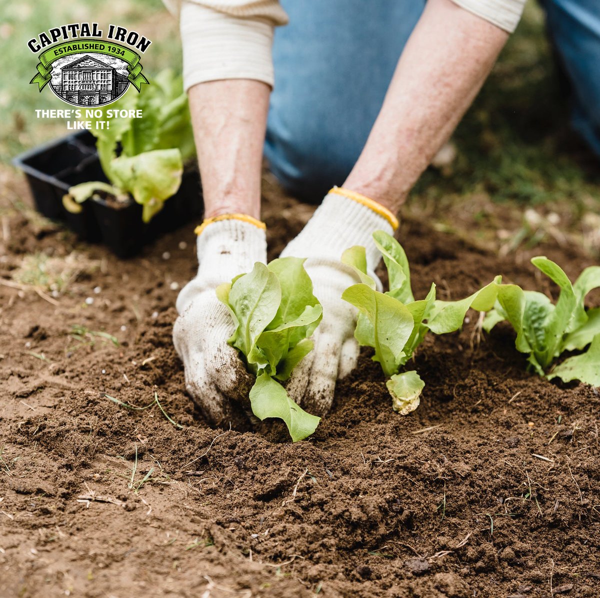 Capital Iron tweet media