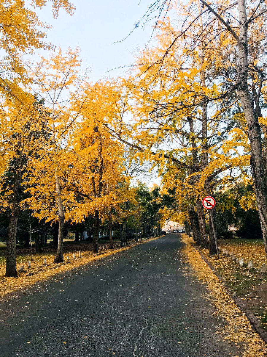 Fui al museo de La Plata y me encontré al otoño