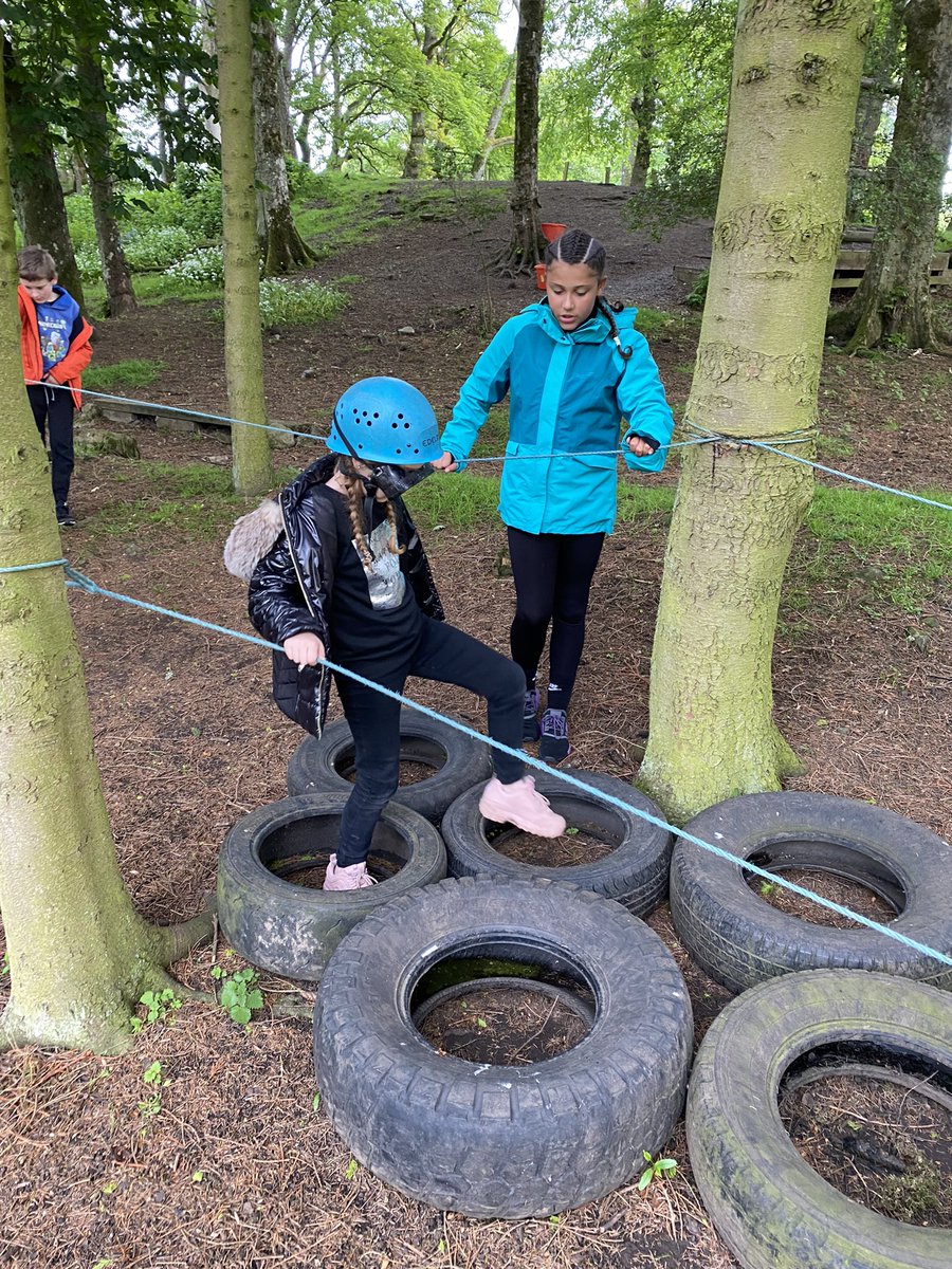 Roundhay School Y5 tweet media