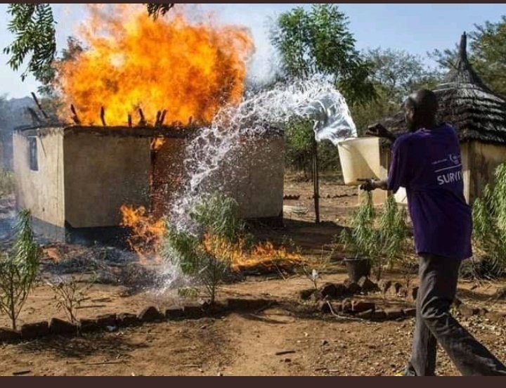 NtimbalandMusa's tweet photo. @buhles_sa Ayikho lendaba https://t.co/CMKoGCFjyW
